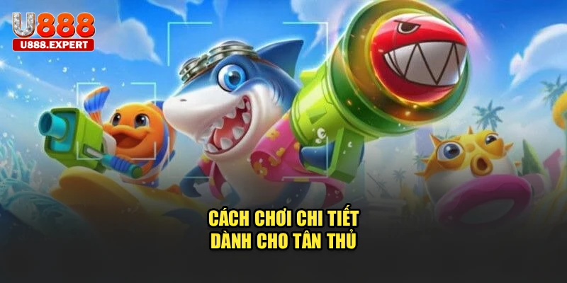 Cách chơi chi tiết dành cho tân thủ U888
