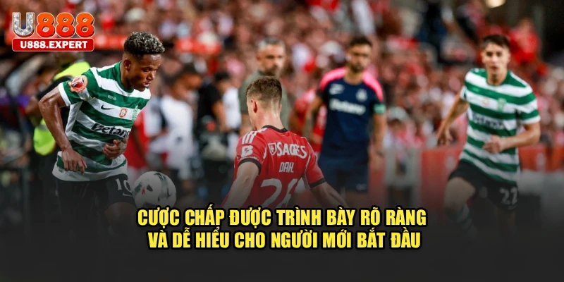 Cược chấp được trình bày rõ ràng và dễ hiểu cho người mới bắt đầu