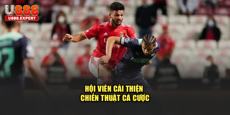 Hội viên cải thiện chiến thuật cá cược