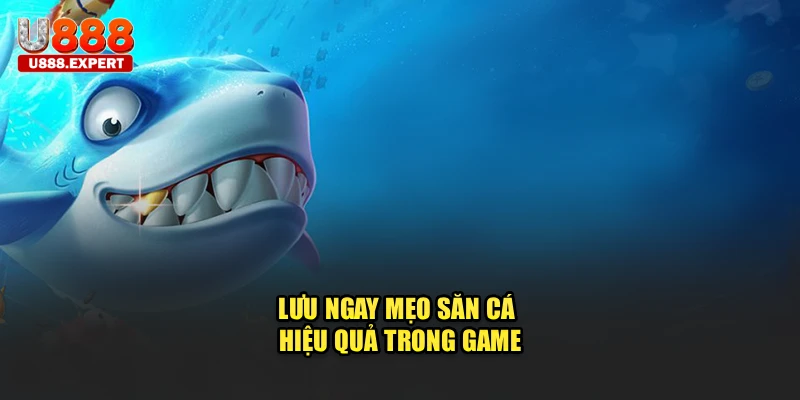 Lưu ngay mẹo săn cá hiệu quả trong game
