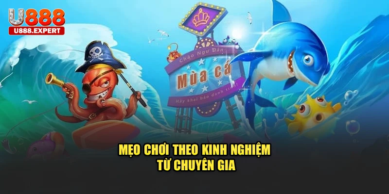 Mẹo chơi theo kinh nghiệm từ chuyên gia