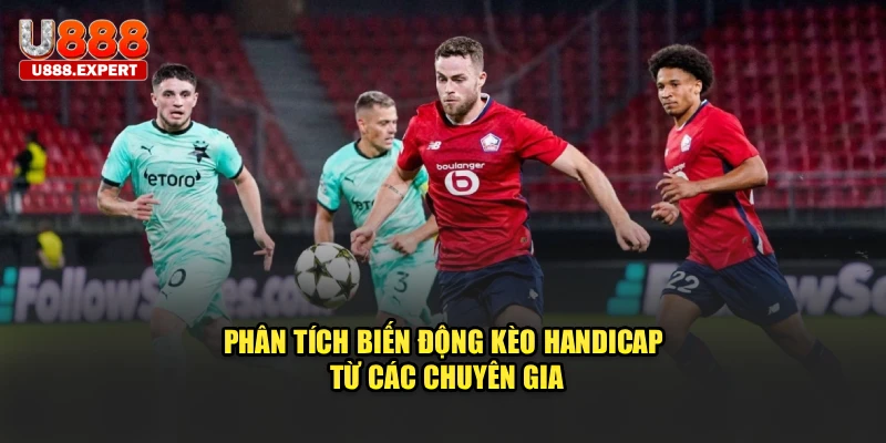 Phân tích biến động kèo Handicap từ các chuyên gia