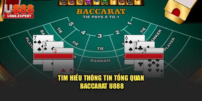 Tìm hiểu thông tin tổng quan baccarat U888